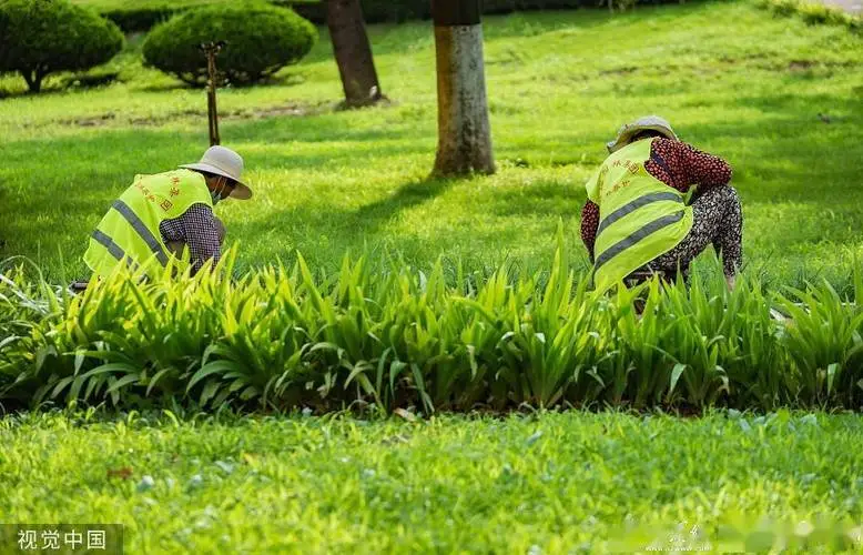 宿州市城市绿化养护规范