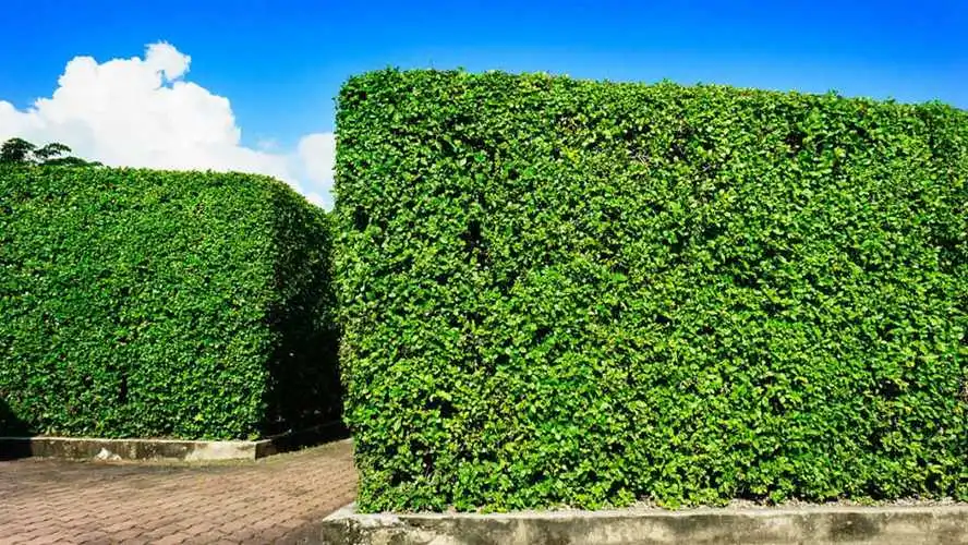 埃夫特发布智能机器人通用技术底座 构建开放产业生态