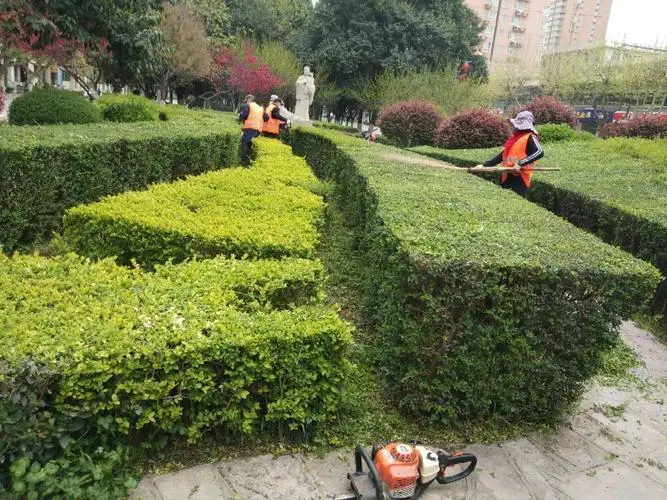 绿化工程预决算手册
