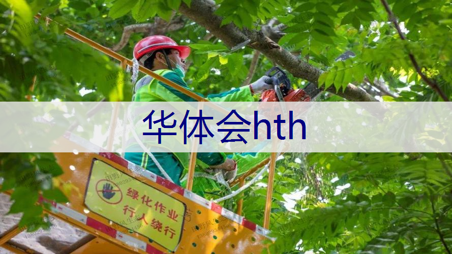 户外园林景观设计项目经典案例